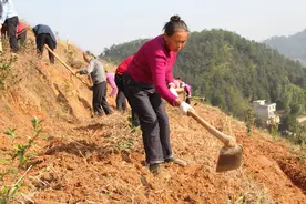 2021年农历牛年，农村就会“遍地挖坟头”，究竟是咋回事？图片
