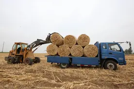 秸秆造房成农村新潮，380㎡别墅俩月完工，村民录下施工全程图片