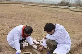 内蒙古特大发现，工人修水库挖到千年古墓，墓中场景让专家惊喜图片