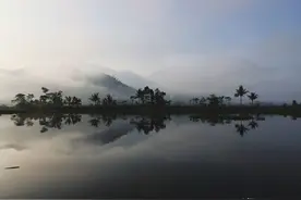 印尼华人：危险的财富图片
