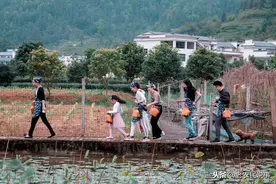 农家乐迎来“至暗时刻”，由乐变哭，为啥？消费者：太贵，吃不起图片