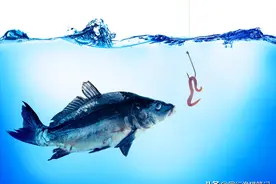 用蚯蚓钓鱼不注意这几点，鱼再多也不一定钓多鱼图片