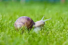 一个55岁单身女人的独白:活着，就要争口气，哪怕只为那份尊严图片