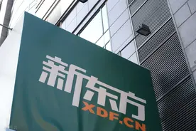 新东方首次投资少儿英语直播类品牌，鲸鱼外教培优完成B+轮融资图片