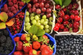 太全了，每个月份的应季水果表，应有尽有，建议收藏图片