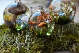 干花和树叶没事多收集，滴上这种神奇的胶，好看的首饰都用不完图片