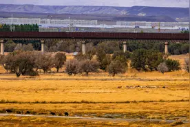 中国新疆“18”怪之出嫁姑娘把妹带图片