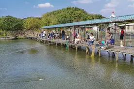 小挡针作用大，想要快速回鱼，还需了解挡针的选择和应用图片