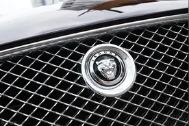 老虎头车标究竟是什么汽车的车标？图片