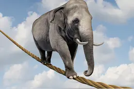 长源电力“蛇吞象”欲并购湖北电力图片