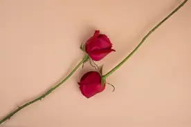 股票干货：顶级游资成长史，悟道经验干货满满图片