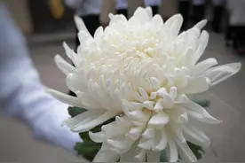 为人民解放事业而赴汤蹈火--记曾伟烈士图片