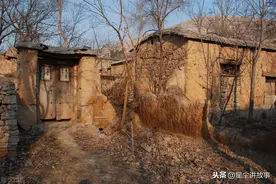 故事：在农村，每家都有家蛇，如果它出现了，就必须要小心行事了图片
