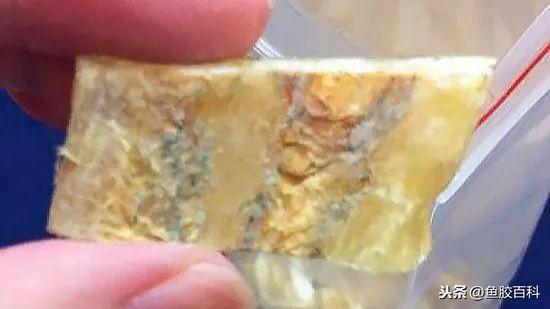 花胶有黑色的虫 2026年花胶有黑色的虫子能吃吗