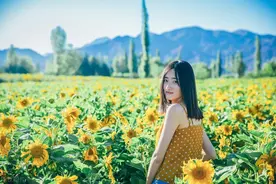 家净福来，人静心安图片