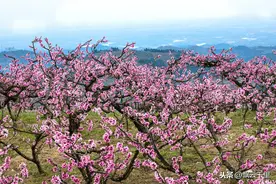 水浒里的这座山头，山名非常美丽，住着两个奇葩的活宝山大王图片