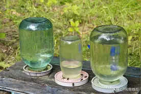 人工养殖蜜蜂，都要喂养糖水吗？饲喂原理告诉你真相图片