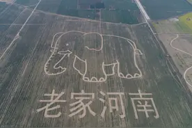 宅基地收费：该赞成还是该反对？解决问题还是制造麻烦？图片