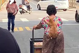 远看老奶奶在推车，背上还趴着啥，凑近后：原来是只小可爱呀图片