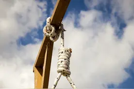 奇案！死刑犯被执行死刑后又活过来了应如何处理？图片