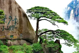 游玩黄山攻略图片