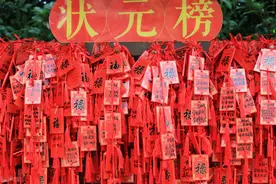 博罗｜2020年高考再创佳绩图片