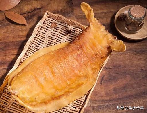 鳘鱼胶有哪些品种 2026年鳘鱼胶分几种