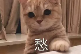 看了网传视频，厦门一女子怀疑自己的手得了“脚气”！医生：不，你不是图片