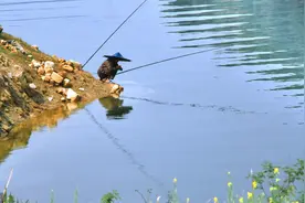 暴雨之后，正是鱼儿开口的好时候，但是去钓鱼时，不要忘记这4点图片