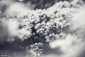 当我想起你图片