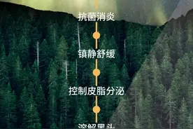 纯净北极，不可忽略的天然原料宝藏库图片