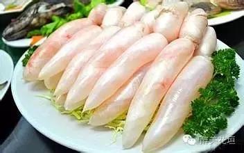 鱼鳔的使用方法视频 鱼鳔的使用方法视频讲解