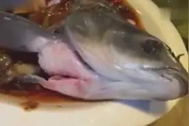 广州餐馆惊现“僵尸鱼”煮熟后仍在盘中蠕动视频封面