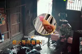 《变形记》丽姐和陈新颖混熟了，2人真正的成了兄妹