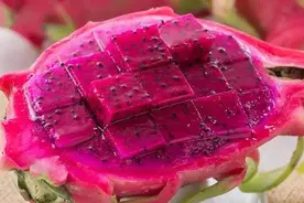 红心火龙果“颜值高”的秘密，看完真是长见识！图片