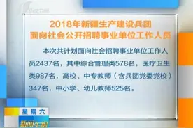 2018年新疆生产建设兵团面向社会公开招聘事业单位工作人员
