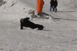 初学者怎么get单板刻滑技能？图片