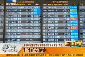 直飞纽约温哥华！武汉还将增开N条新航线，国内旅游城市都能到