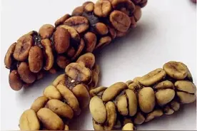 原来这些都是动物的便便 口味有点重图片