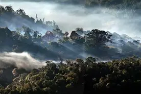 茶乡勐海，唯美视听图片