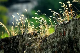 如何做一个人见人爱的职场新人图片