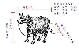 农历知识：2020年庚子年春牛图图片