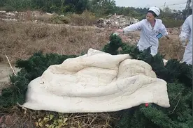 看美女们是如何把火惹起来，又跟帅哥一起把火灭掉的