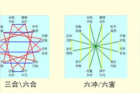 十二生肖中的阴阳对应图片