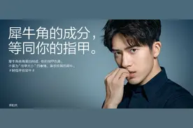 犀牛角的药用价值和人的指甲差不多？图片