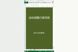 设置Excel自动调整行高和列宽，#等一分钟 @抖音小助手