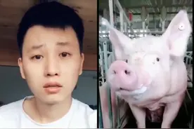 抖音最近这头“猪”火了，配上超火的BGM，网友纷纷模仿，哈哈