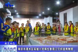 「教育动态」南京市溧水区实验小学师生参观江宁织造博物馆视频封面
