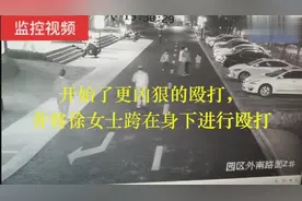遛狗不牵绳还打人，视频曝光：狗主人打人后又返回动手，已被刑拘视频封面