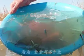 用脸盆制作捕鱼工具，一天后端出来就半盆，你玩过吗？